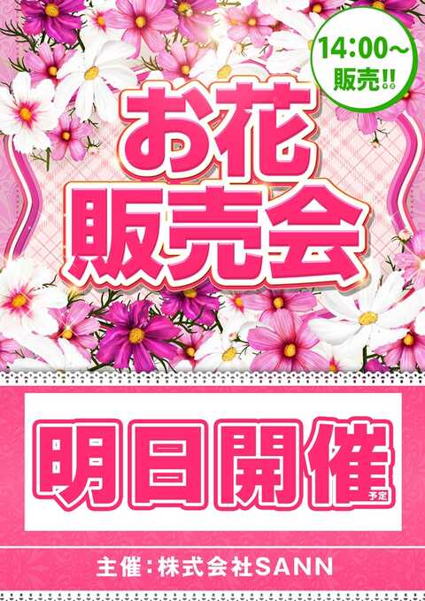 DAMZ見附今町店 | P-WORLD