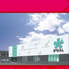 ビィギャル外旭川店