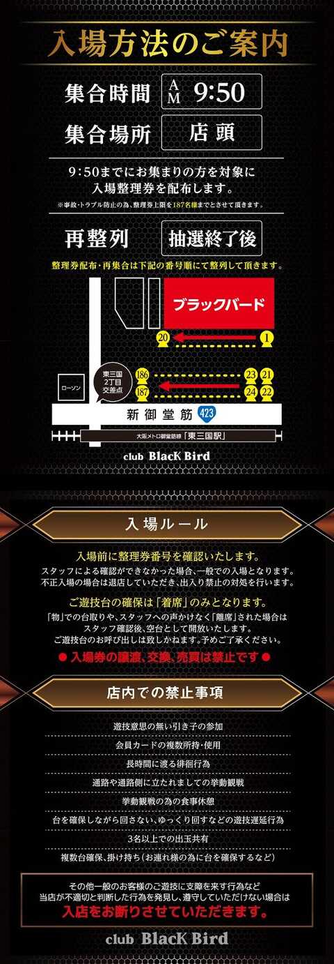 BLACK BIRD | P-WORLD