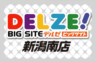デルゼビッグサイト 新潟南店 | P-WORLD