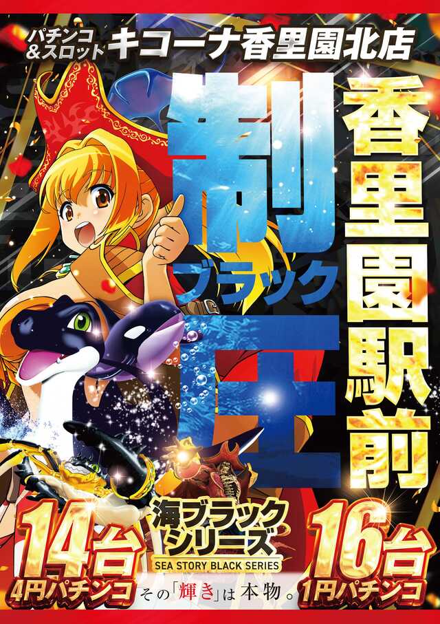 �ϰ����顢���֥�å����꡼��