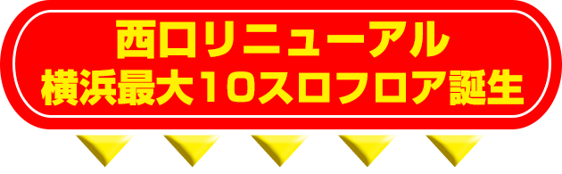 ������˥塼����