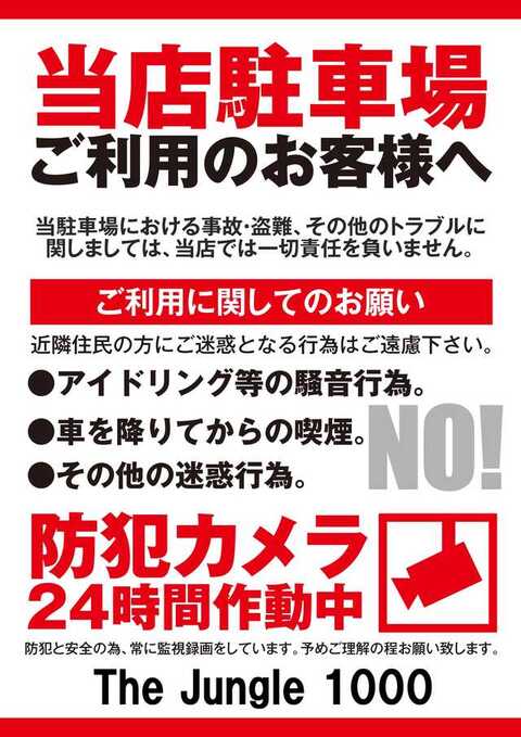 The Jungle 1000 | P-WORLD