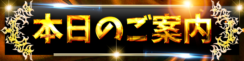 本日のご案内