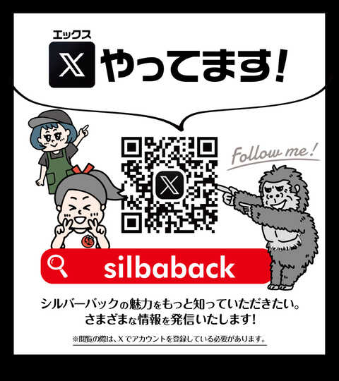 シルバーバック八代インター店