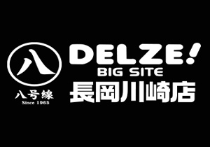 デルゼビッグサイト長岡川崎店 | P-WORLD