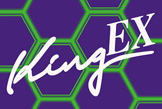 WHO IS KING スロットマシン WHO IS KING スロットマシン パチスロ ヘルシング｜パチスロ製品