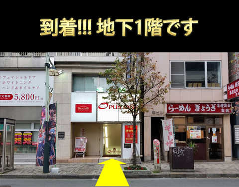 オーパス ワン 恵比寿店 オーパス ワン 恵比寿店