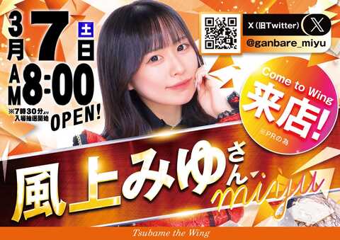 つばめザ・ウィング | P-WORLD