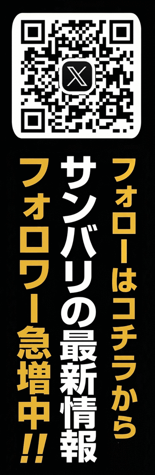 公式X