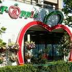 ピーアップル尾久店