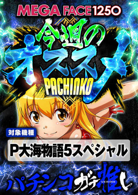 メガフェイス1250田川 | P-WORLD