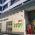 ファイターズ通りひまわり