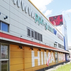 多賀城ひまわり