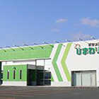 五所川原ひまわり