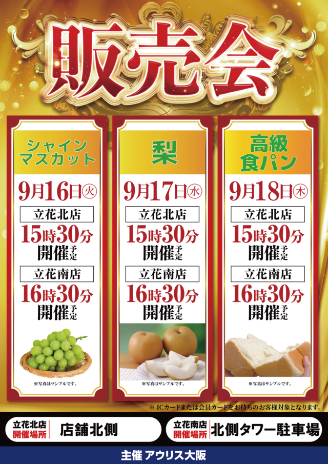 9Ⱦ