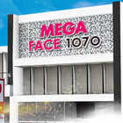 メガフェイス1070菊陽