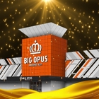 BIGOPUS15都城店