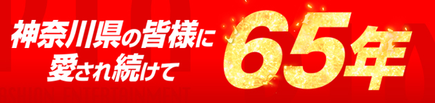 65ǯХʡ