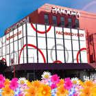 ビッグパンドラ　井土ヶ谷店　本館