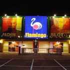 フラミンゴ鎌ケ谷店