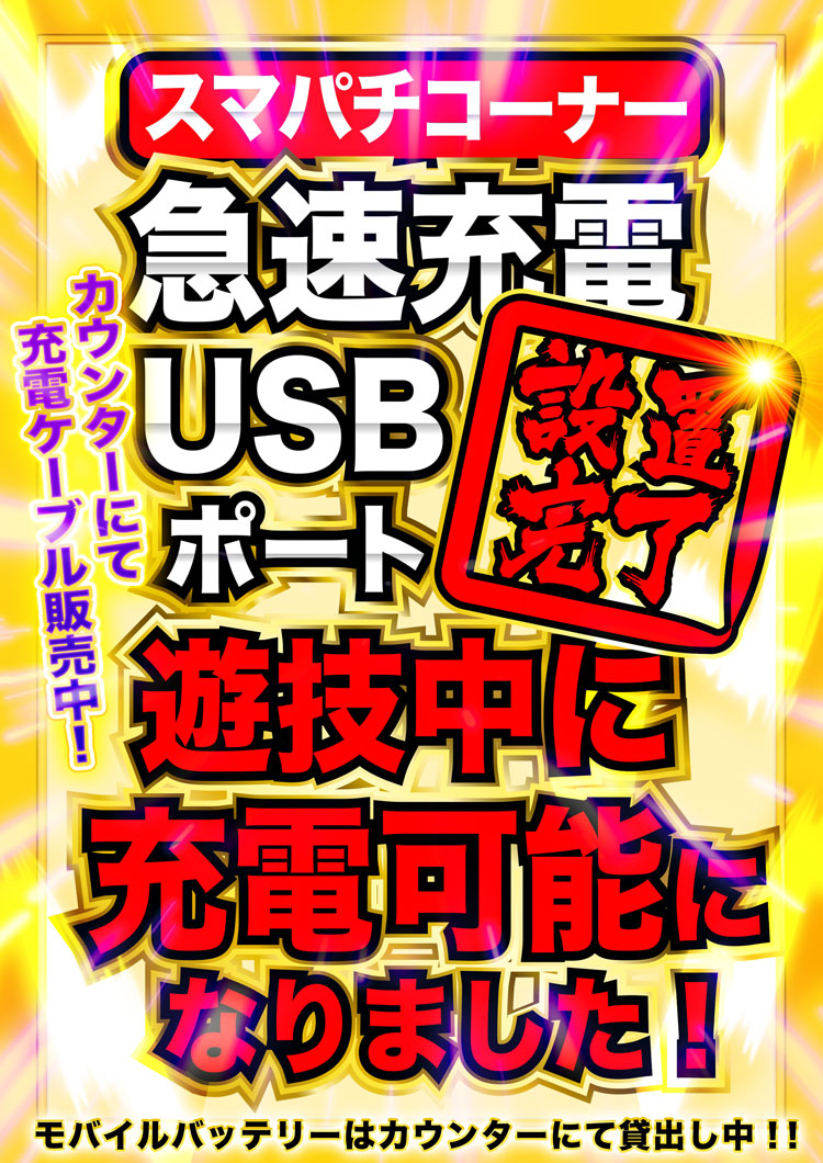 ޥѥUSBݡȿ