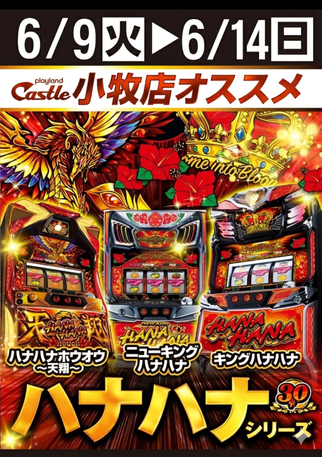 6.9～ハナハナオススメ