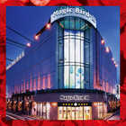 マジックバード３