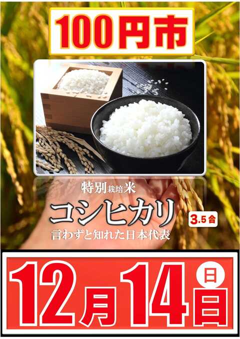 P-ROOTs MANDORE | P-WORLD