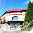 パーラー花・花