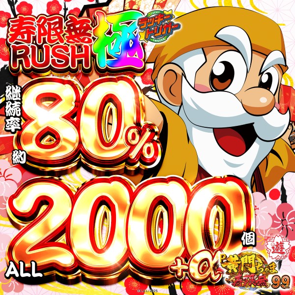 2/6����������