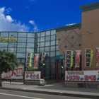 アイランドポパイ