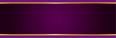 1000円146枚スロット導入機種(紫色)