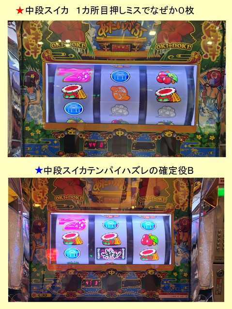 沖ドキ！DUOシリーズ 掲示板 | P-WORLD パチンコ・パチスロ機種情報